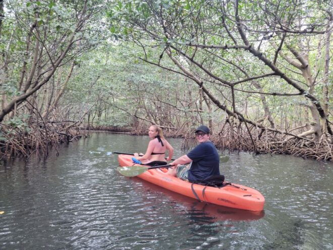 Miami: Beginner-Friendly Island Snorkeling by SUP or Kayak - Experience Highlights