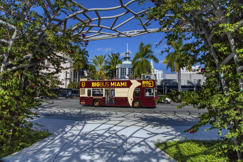 Miami Big Bus Hop-On Hop-Off Tours (Open-Top) - What the schedule means in real life