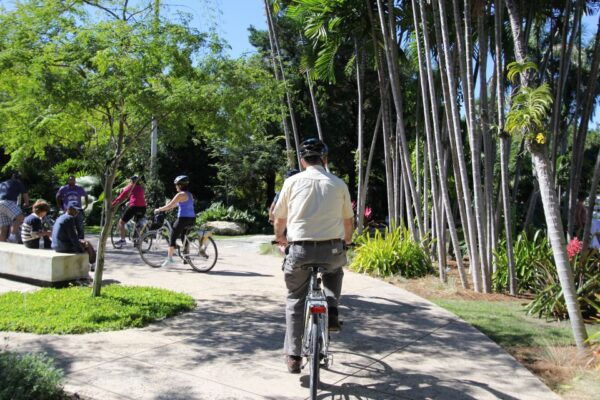 Miami: Bike Rental - Activity Details