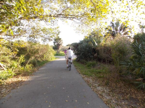 Miami: Bike Rental - The Sum Up