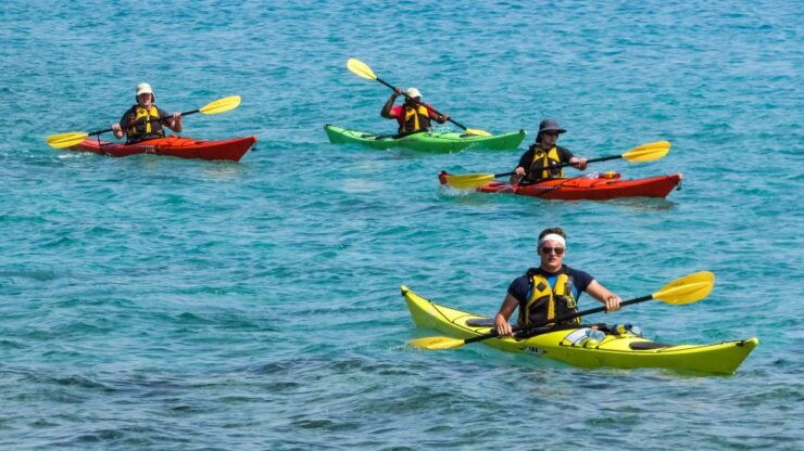 Miami: Biscayne Bay Aquatic Preserve Kayak Tour - Activity Details