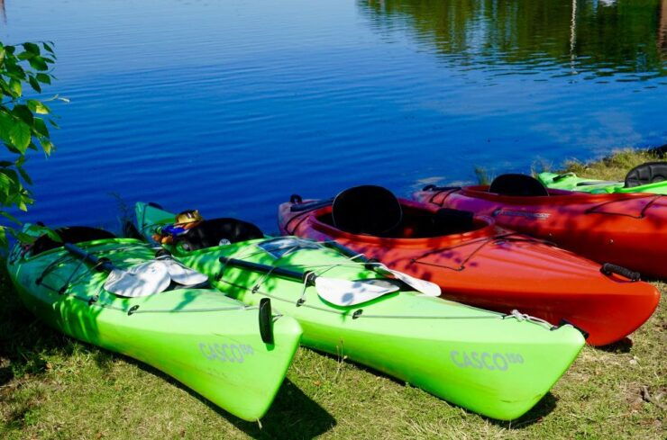 Miami: Biscayne Bay Aquatic Preserve Kayak Tour - Experience Highlights