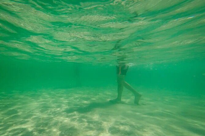 Miami Biscayne Bay Boat Tour with Sandbar Experience. - Frequently Asked Questions