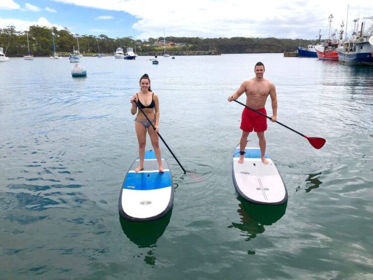 Miami: Biscayne Bay Kayak or Paddleboard Rental - Experience Highlights