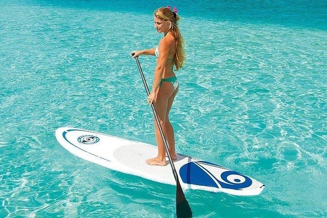 Miami Biscayne Bay Kayak/Paddleboard Rental - Overview and Experience Details