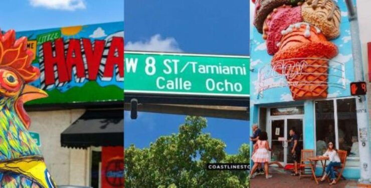 Miami: City Tour and Thriller Speedboat Adventure - Good To Know