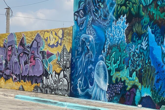 Miami City Tour With Little Havana and Wynwood Walls Visit - Tour Overview and Itinerary