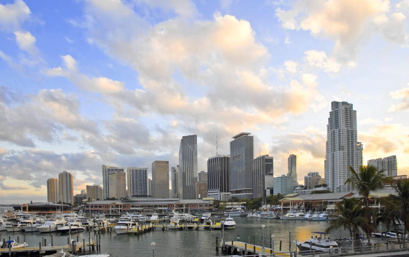 Miami City Tour with Optional Activities and Hotel Transfers - A quick route through Miami’s contrasts