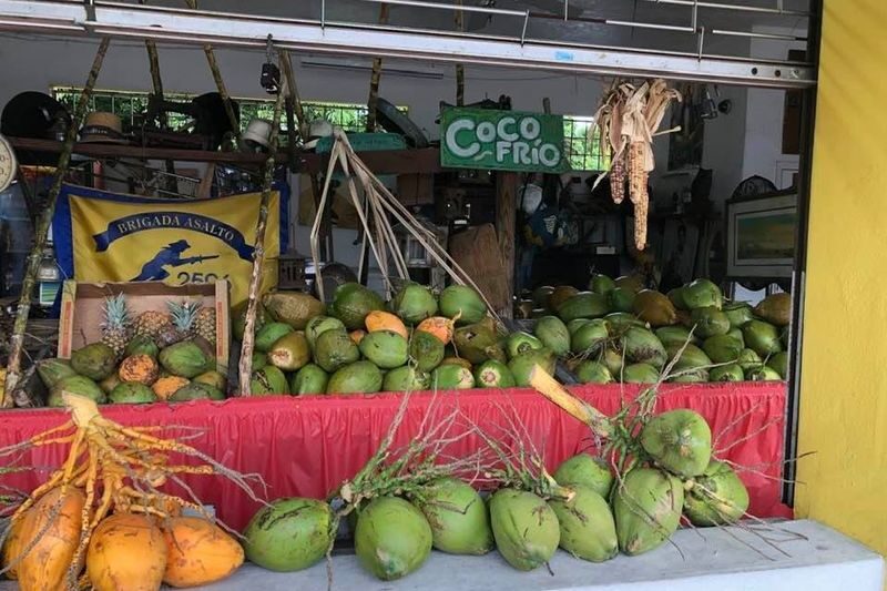 Miami City Tour with Optional Activities and Hotel Transfers - Bayside Marketplace and the optional cruise