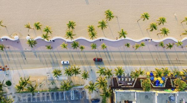 Miami: City Tour With Optional Cruise and Everglades Entry - Tips for a Successful Tour