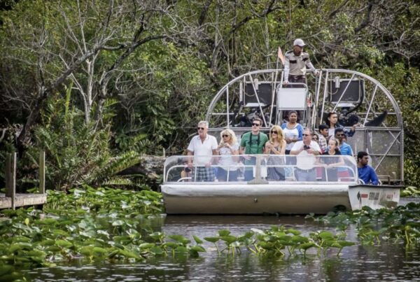 Miami: City Tour With Optional Cruise and Everglades Entry - Common Questions