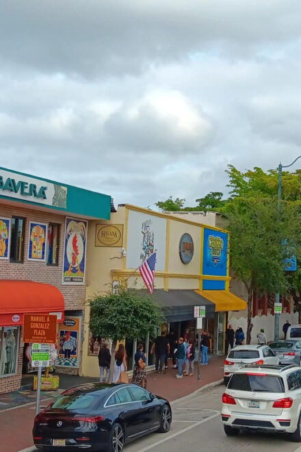 Miami City Tour With Stops in Wynwood and Little Havana - Pickup and Drop-off Locations