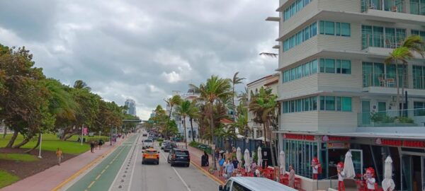 Miami City Tour With Stops in Wynwood and Little Havana - Customer Reviews