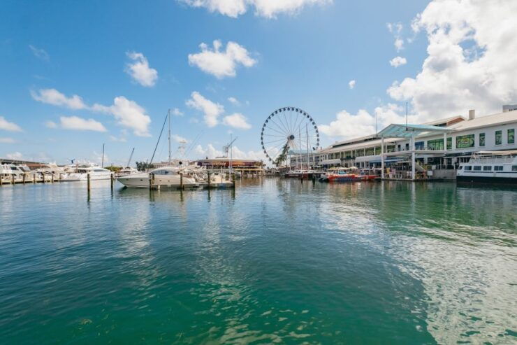 Miami Combo: Open-top Bus Tour & Millionaires Row Bay Cruise - Tour Experience
