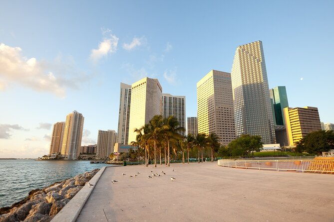 Miami Downtown Highlights Private Guided Walking Tour - Final Verdict
