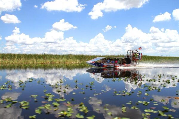 Miami: Everglades Adventure & Big Bus Hop-on Hop-off Tour - Route