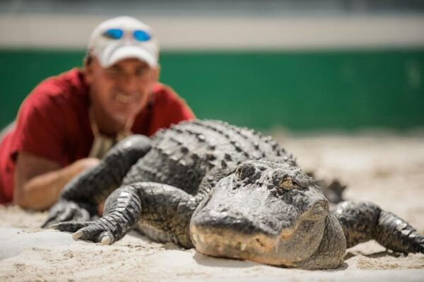 Miami: Everglades Adventure & Big Bus Hop-on Hop-off Tour - Commentary
