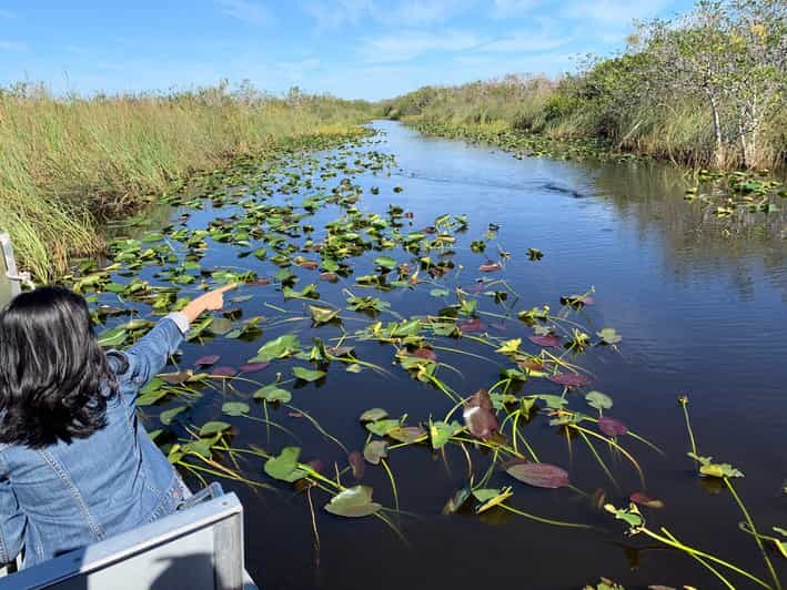 Miami: Everglades Airboat, Gator Experience with Transfer - The Pros and Cons