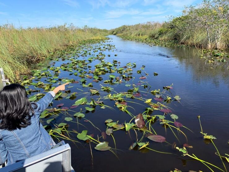 Miami: Everglades Airboat, Photo & Gator Experience - Good To Know