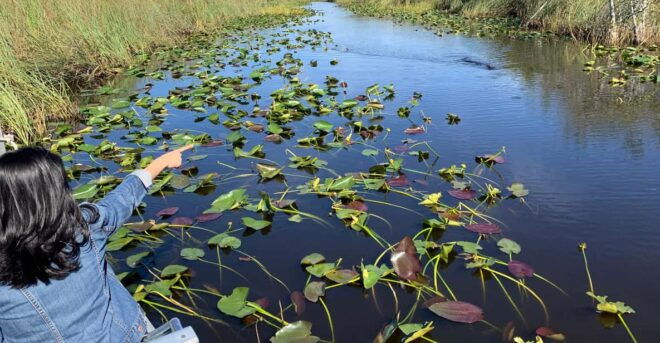 Miami: Everglades Airboat, Photo & Gator Experience - Everglades Alligator Farm Experience