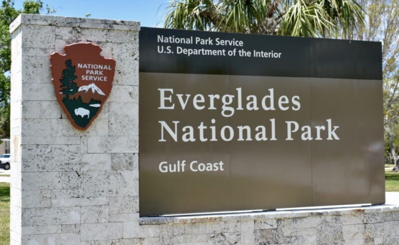 Miami: Everglades Airboat Ride and Tram Tour - The Sum Up