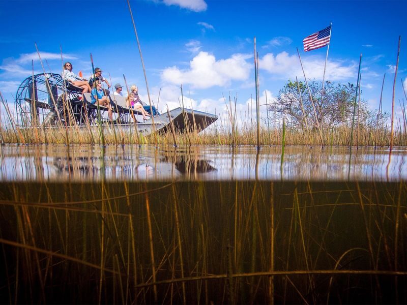 Miami Everglades Holiday Park Half-Day Wildlife Tour - What the Everglades airboat trip offers