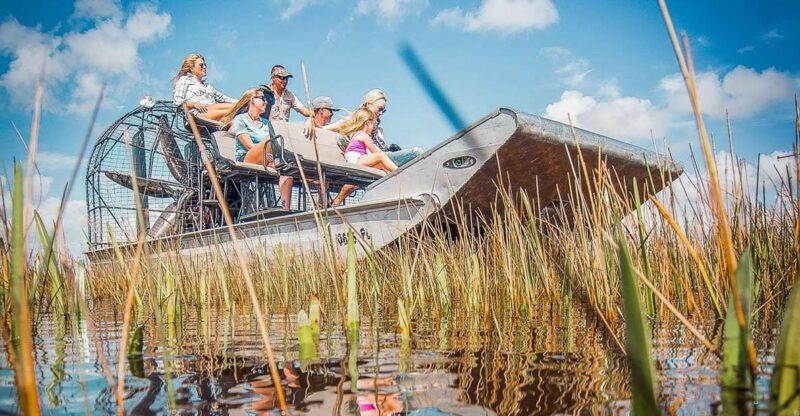 Miami: Everglades National Park Airboat Tour & Wildlife Show - Exploring the Tour: What You Can Expect