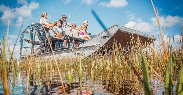 Miami: Everglades National Park Airboat Tour & Wildlife Show - Good To Know