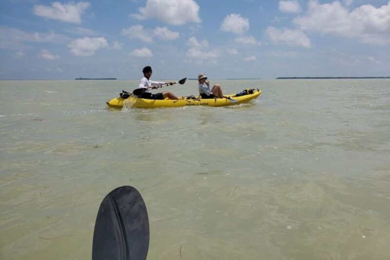 Miami: Everglades National Park Hiking and Kayaking Day Trip - The Experience of Guides and Wildlife Encounters