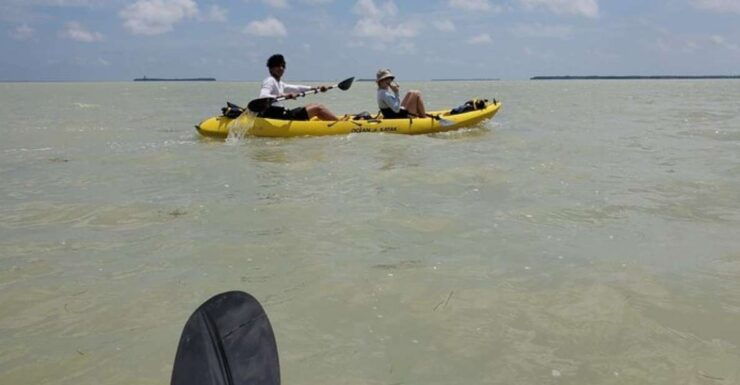 Miami: Everglades National Park Hiking and Kayaking Day Trip - Experience