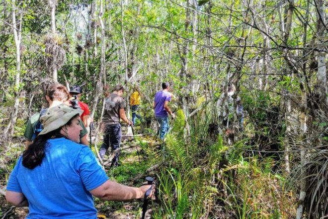 Miami: Everglades National Park Hiking and Kayaking Day Trip - Highlights