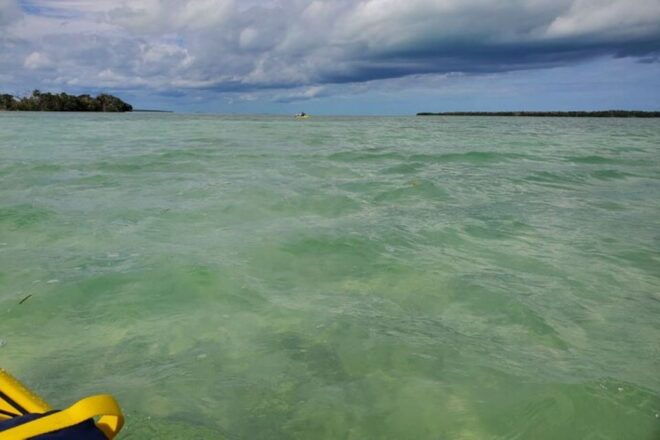 Miami: Everglades National Park Hiking and Kayaking Day Trip - Customer Feedback