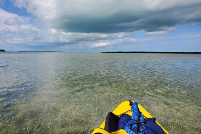 Miami: Everglades National Park Hiking and Kayaking Day Trip - The Sum Up
