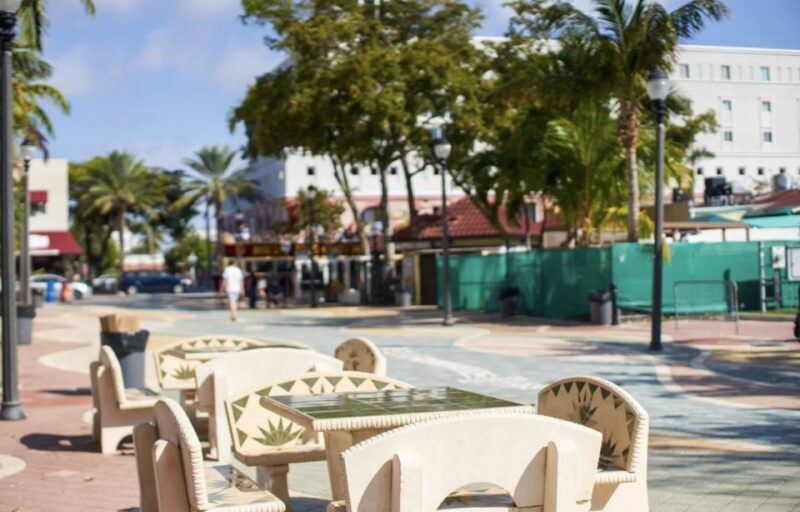 Miami From Fort Lauderdale Premium Driving Tour with Cruise - Introduction