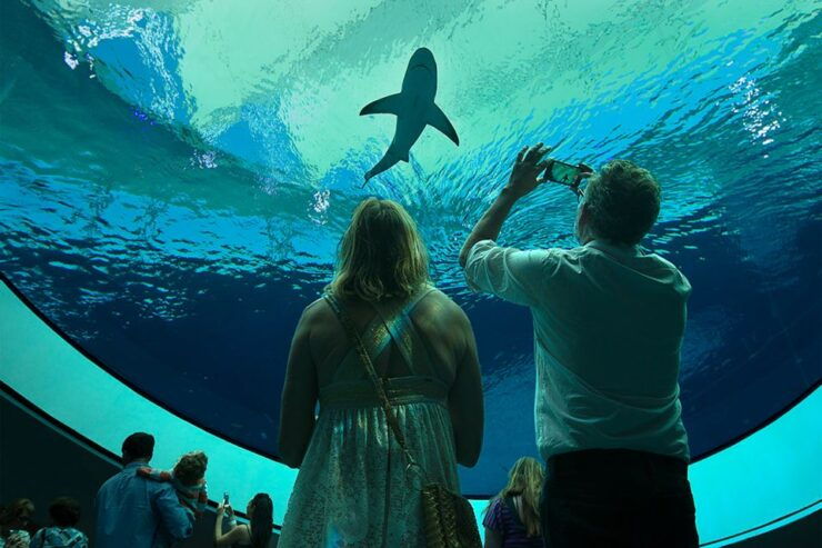 Miami: Frost Science Museum and Planetarium Admission Ticket - Good To Know