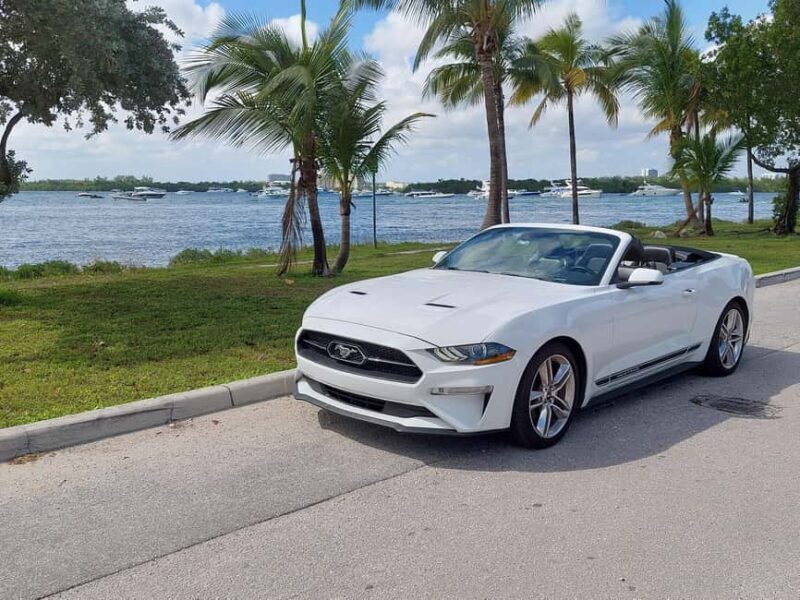 Miami: Full-day tour of the Keys in a convertible Mustang in French - The Practical Details