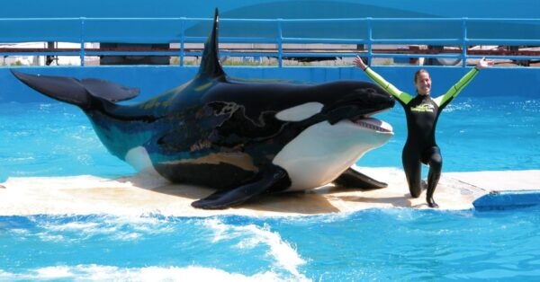 Miami: Go City All-Inclusive Pass With 15 Attractions - The Sum Up