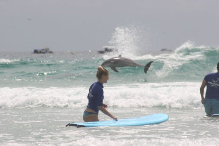 Miami: Group Surf Lesson - Instructor Information for Miami Group Surf Lesson