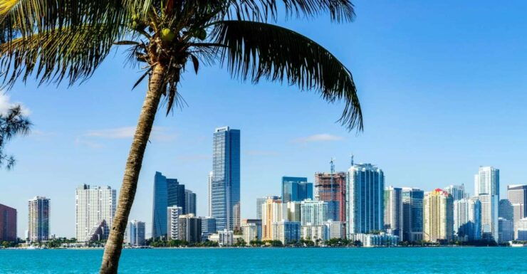 Miami: Guided City Tour and Boat Ride - Activity Details
