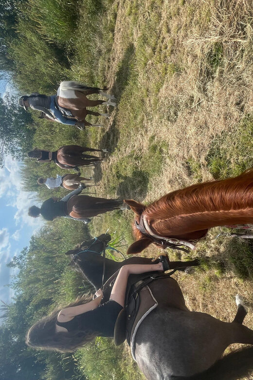 Miami: Guided Horseback Riding Tour - Good To Know