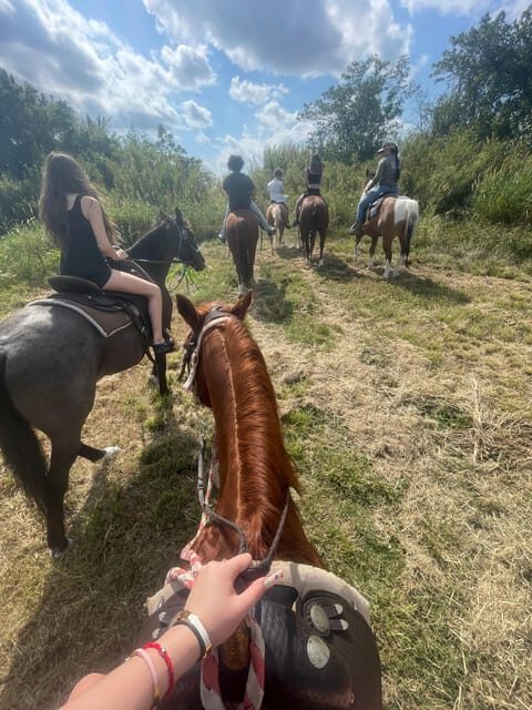 Miami: Guided Horseback Riding Tour - The Itinerary Breakdown