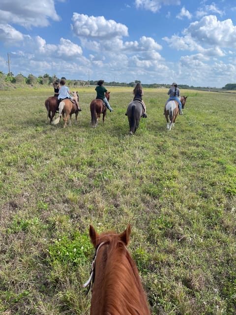 Miami: Guided Horseback Riding Tour - Practical Details and Value