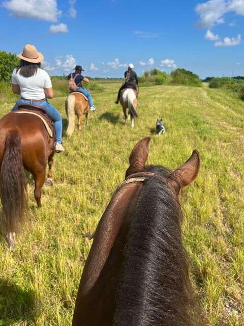 Miami: Guided Horseback Riding Tour - Authentic Experiences and Unseen Details