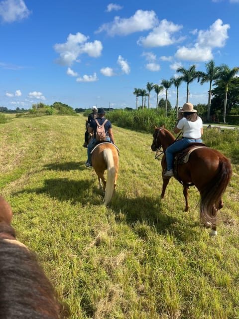 Miami: Guided Horseback Riding Tour - Who Should Consider This Tour?
