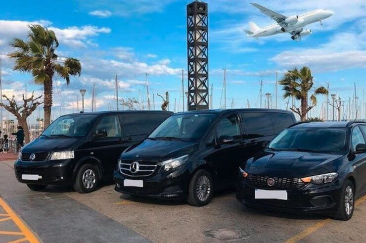 Miami: Guided Tour With Transfer From Cruise Port to Airport - Activity Highlights