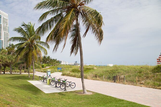 Miami : Highlights Private Bike Tour With A Guide (Private Tour) - The Details of the Itinerary