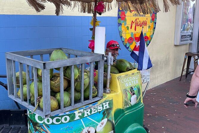 Miami Iconic places city tour: History, Art & Culture - Who Will Appreciate This Tour?