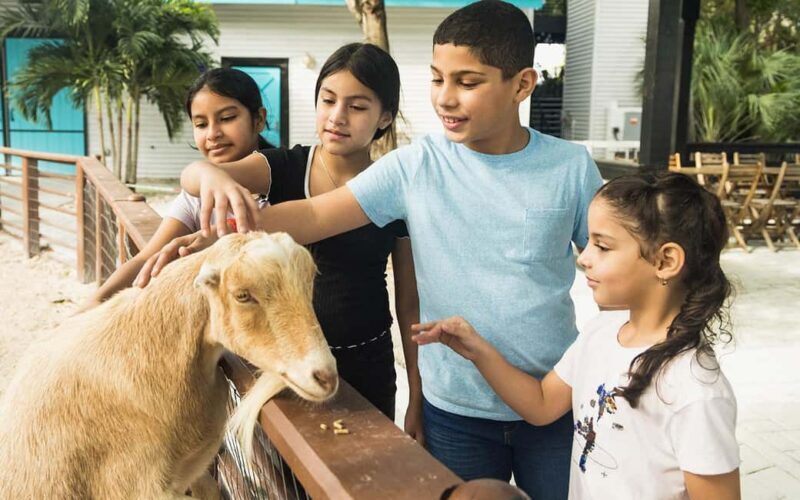 Miami: Jungle Island General Admission - Introduction