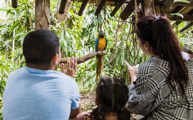 Miami: Jungle Island General Admission - Good To Know