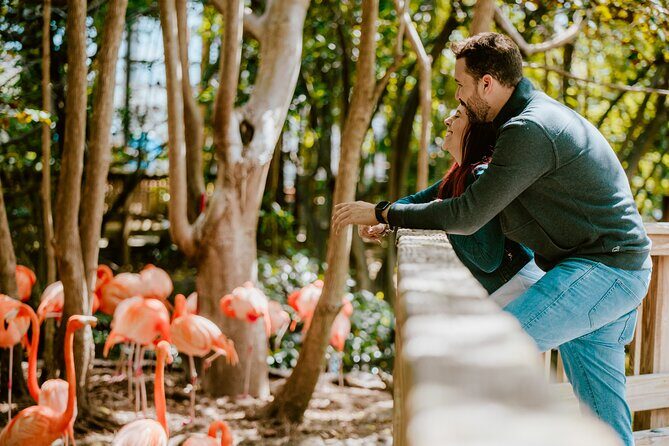 Miami: Jungle Island General Admission Ticket - Good To Know